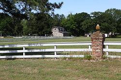 Sam Houston National forest